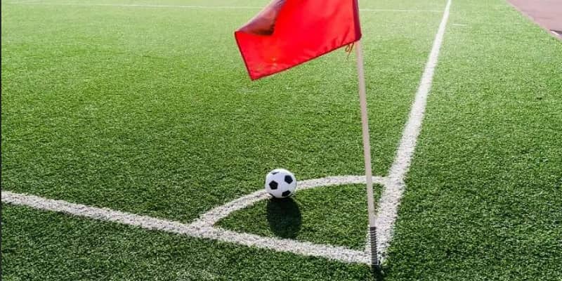 Nắm bắt các bí kíp để giúp hội viên tối ưu hóa khả năng thu về tiền thưởng Nắm bắt các bí kíp để giúp hội viên tối ưu hóa khả năng thu về tiền thưởng